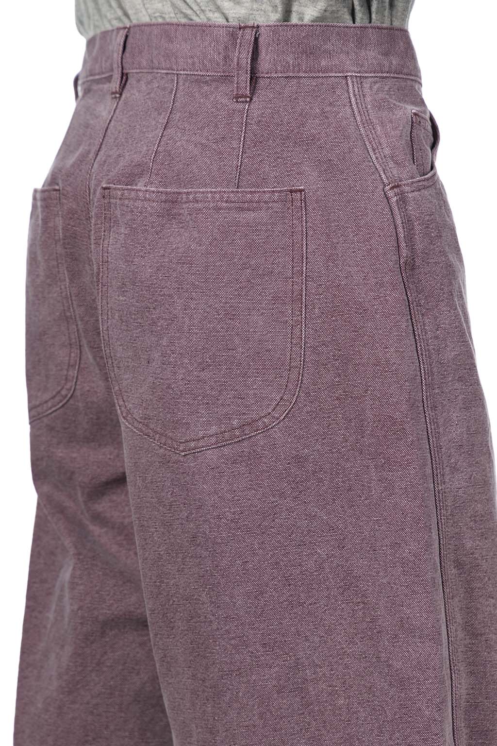 AURALEE - Washed Organic Canvas Pants - Purple