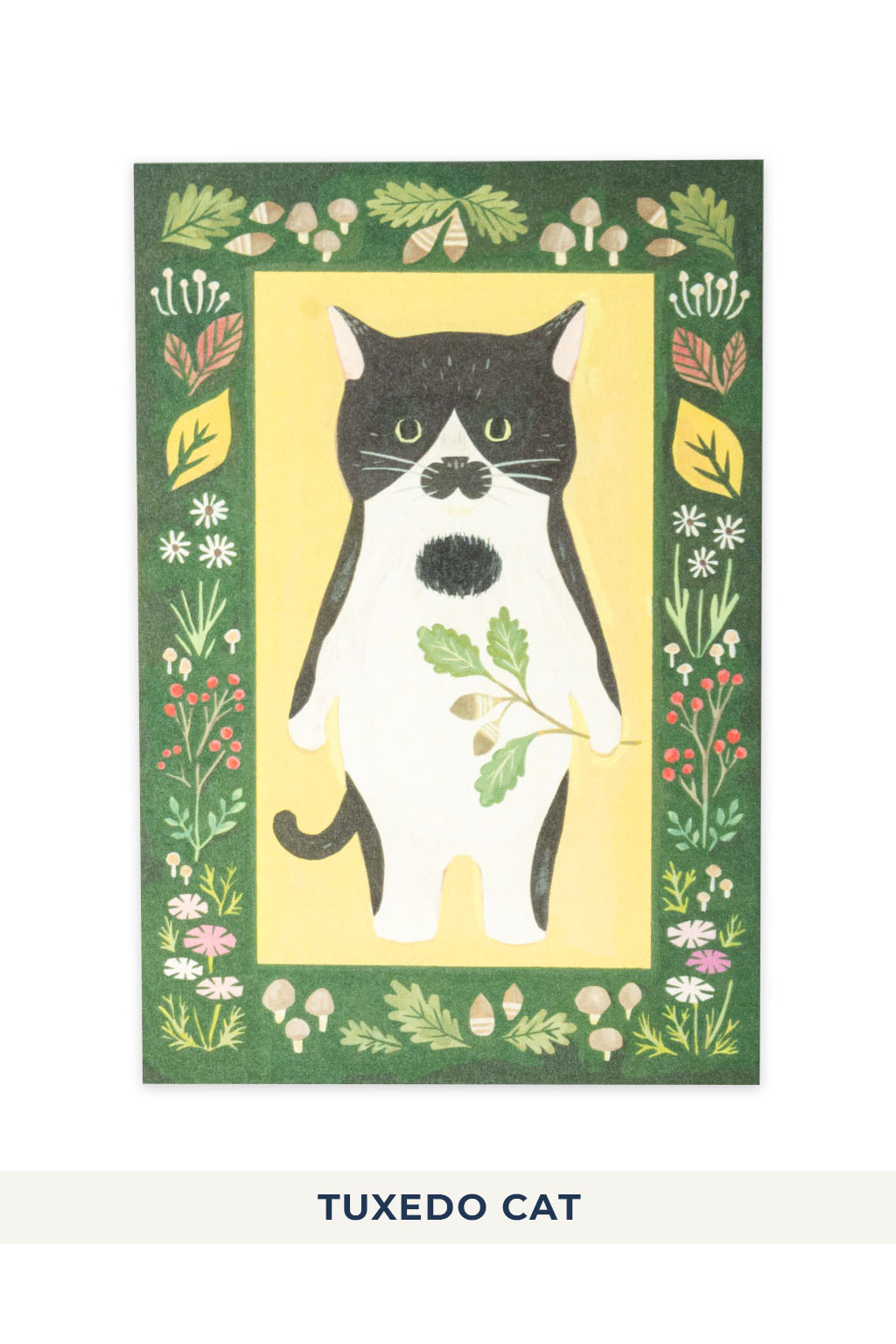 Mino Washi - Cat in the Picture Book Post Card - 8 choices