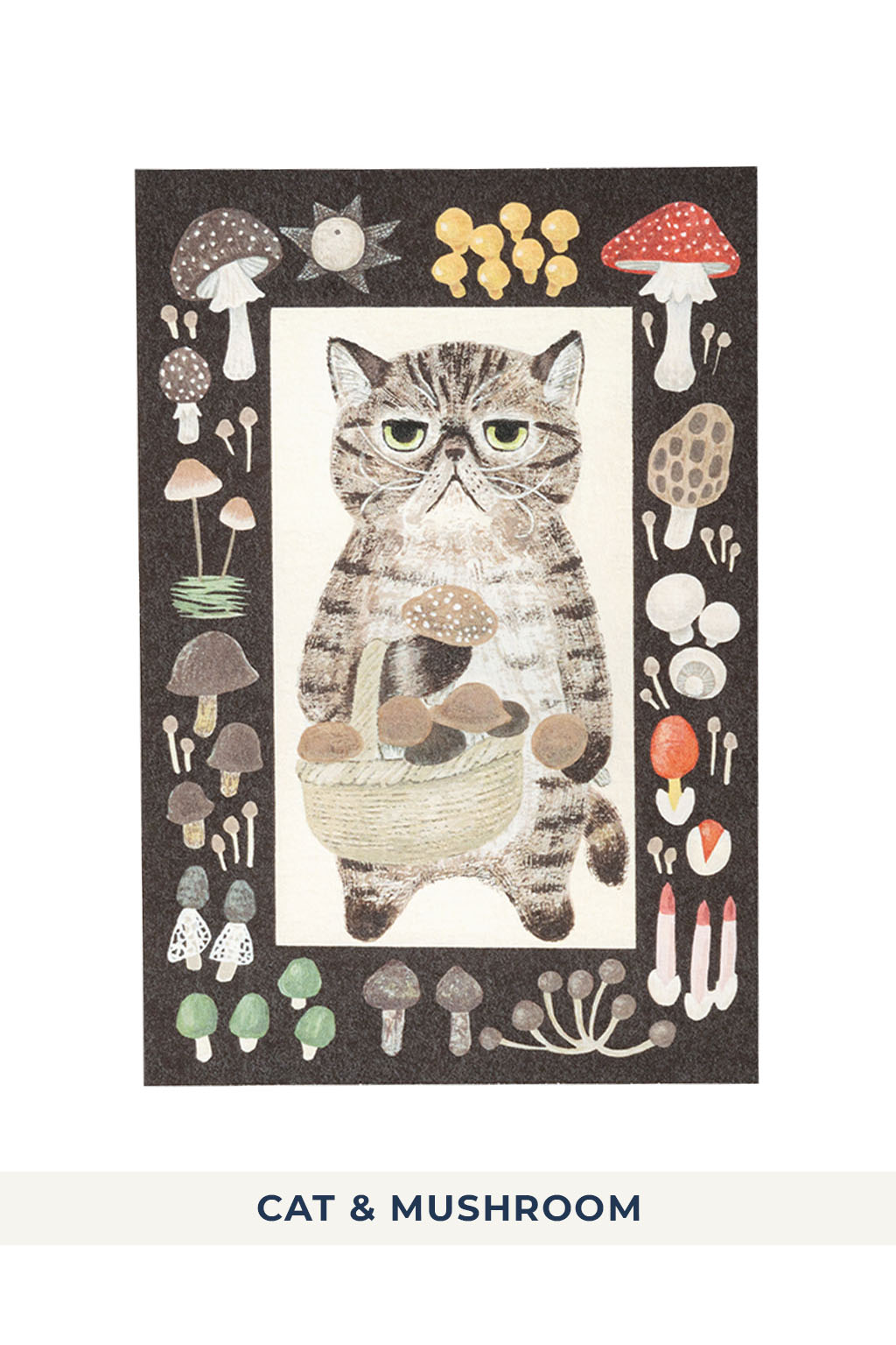 Mino Washi - Cat in the Picture Book Post Card - 8 choices