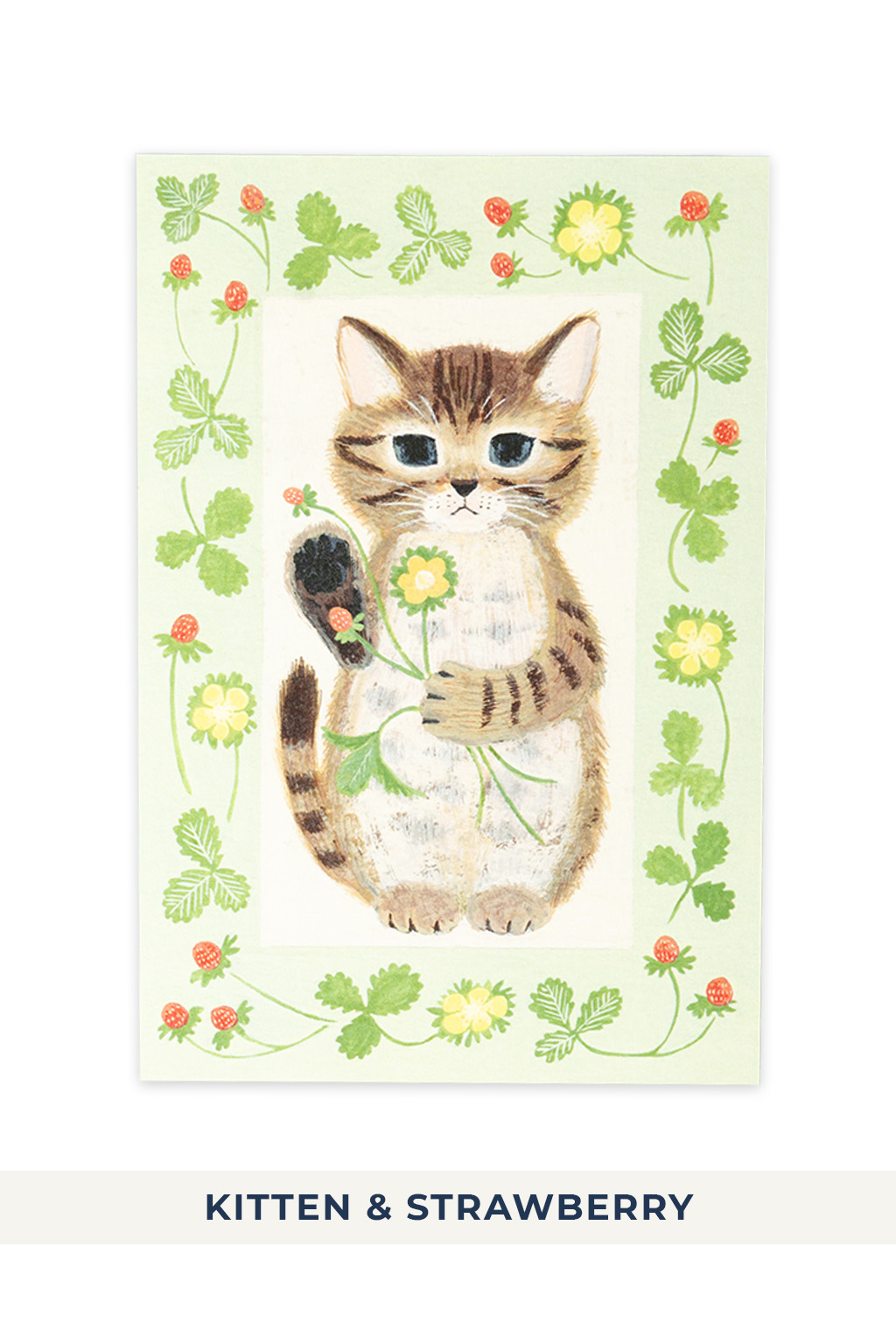 Mino Washi - Cat in the Picture Book Post Card - 8 choices