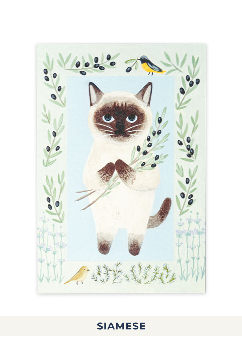 Mino Washi - Cat in the Picture Book Post Card - 8 choices