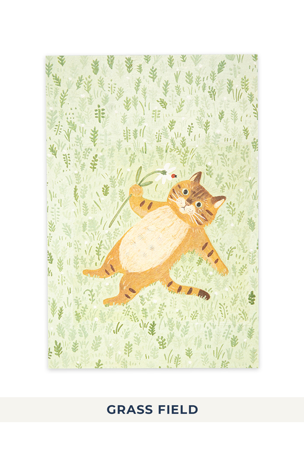 Mino Washi - Cat in the Picture Book Post Card - 8 choices